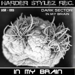 Cover: Dark Sector - In My Brain (Original Mix)