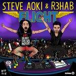 Cover: Steve Aoki & R3hab - Flight