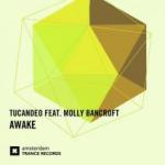 Cover: Molly - Awake