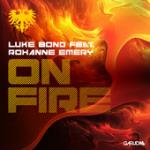 Cover: Roxanne Emery - On Fire