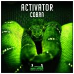 Cover:  - Cobra