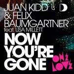 Cover: Felix Baumgartner - Now You're Gone