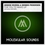 Cover: Denise Rivera &amp; Dennis Pedersen - For You To Wake Up