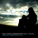 Cover: Thrillseekers Feat. Aruna - Waiting Here For You