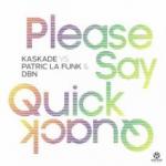 Cover: Kaskade feat. Adam Klopp - Please Say You Will - Please Say Quick Quack