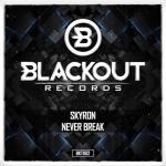 Cover: Skyron - Never Break