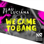 Cover: Luciana - We Came To Bang