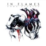 Cover: In Flames - Take This Life