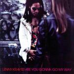 Cover: Lenny Kravitz - Are You Gonna Go My Way