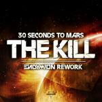 Cover: 30 Seconds To Mars - The Kill (Endymion Rework)