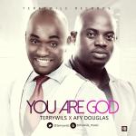 Cover: Terrywils - You Are God