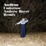 Cover: Ane Brun - Undertow (Andrew Bayer Remix)