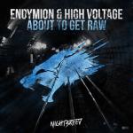 Cover: Endymion & High Voltage - About To Get Raw