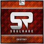 Cover: Soulrage - Destiny