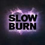 Cover: Alexa Ayaz - Slow Burn