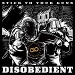 Cover: Stick To Your Guns - Nobody