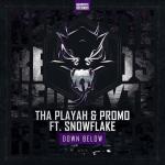 Cover: Tha Playah & Promo Feat. Snowflake - Down Below