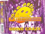 Cover: Rave Nation - Going Crazy