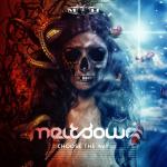 Cover: Meltdown - Choose The Way