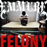 Cover:  - Felony