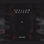Cover: Phuture Noize feat. Snowflake - Shallow Waters