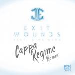 Cover: James Egbert Feat. Nina Sung - Exit Wounds (Cappa Regime Remix)