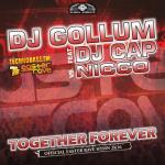 Cover: DJ Gollum &amp;amp;amp;amp; DJ Cap - Together Forever (Official Easter Rave Hymne 2k16)