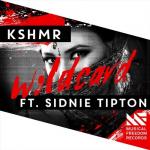 Cover: KSHMR feat. Sidnie Tipton - Wildcard