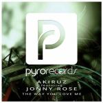 Cover: Akiruz - The Way You Love Me