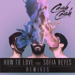 Cover: Sof&iacute;a Reyes - How To Love (Boombox Cartel Remix)