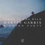 Cover: Martin Garrix &amp; Third Party - Lions In The Wild