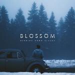 Cover: Burning Down Alaska - Blossom