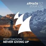 Cover: Tom Swoon - Never Giving Up