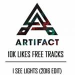 Cover: Artifact ft. Elke Donkers - I See Lights (2016 Edit)