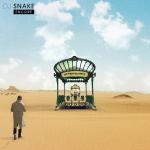 Cover: DJ Snake - Let Me Love You