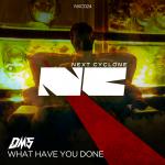 Cover: DMS - What Have You Done