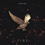 Cover:  - Fire