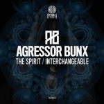 Cover: Agressor Bunx - The Spirit