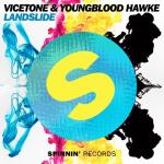 Cover: Vicetone &amp; Youngblood Hawke - Landslide