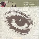 Cover: Ritmo-Dynamic - Calinda (Laurent Wolf remix)