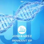 Cover: Wesz - Remeant