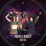 Cover: Density - Wasting