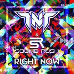 Cover: TNT - Right Now