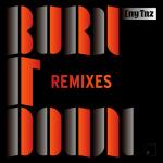 Cover: LNY TNZ - Burn It Down (The Un4given Remix)
