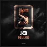 Cover: JNXD - Undefeated