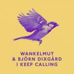 Cover: Wankelmut & Björn Dixgård - I Keep Calling