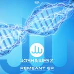 Cover: Josh & Wesz - Vibrational Harmony