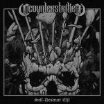 Cover: Counterstrike - Demon Core