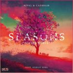 Cover: Rival & Cadmium ft. Harley Bird - Seasons (NIVIRO Remix)