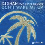 Cover: DJ Shah feat. Inger Hansen - Don't Wake Me Up